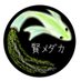賢メダカ Profile Image