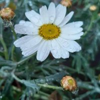 fatmagül8125 (@fatmagul8125) Twitter profile photo