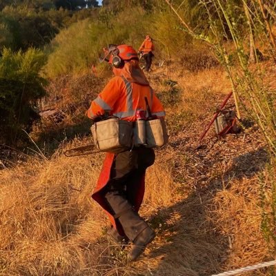 Stanford University BS, MS candidate | SF Bay Area Field Biologist  🦎 Endangered species, restoration ecology, conservation, and urban systems