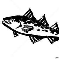 鱈 (@me_roooon) 's Twitter Profile Photo