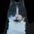 SillyBobbyGames's profile image