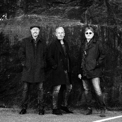 All sorts of info on Stockholm-based Black Cat Moan
