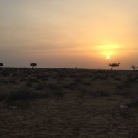 حمد (@md797326303) 's Twitter Profile