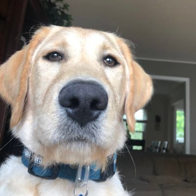 ethanhill721's profile picture. 🎸