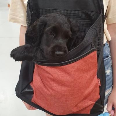 gira_sole03's profile picture. 