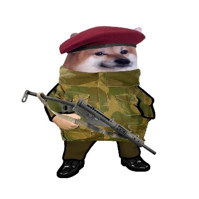 the_rogue_doge Profile Picture
