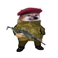 the_rogue_doge π¬π§ (@the_rogue_doge) 's Twitter Profile