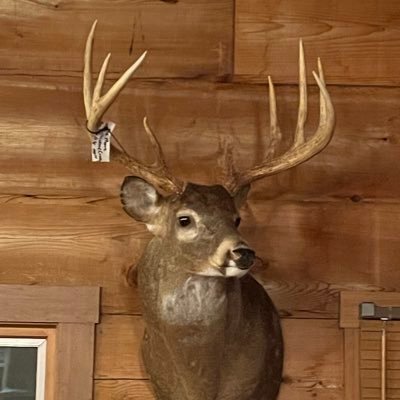 TBlackLKLD72's profile picture. 