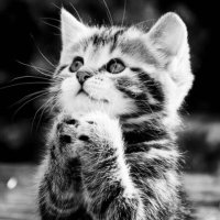 dertler (@dertlerandkeder) Twitter profile photo