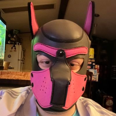 Woof! Two pups 🐶 playing. Some kinky time is expected.