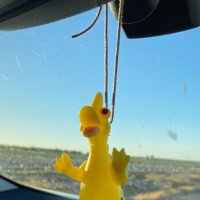 TortuCrypt (@latortu92) 's Twitter Profile