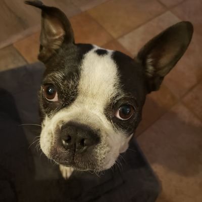 jamesmtolle's profile picture. 