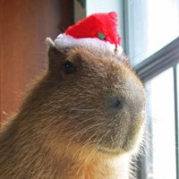 Eric M (@2urbaneric1) 's Twitter Profile Photo