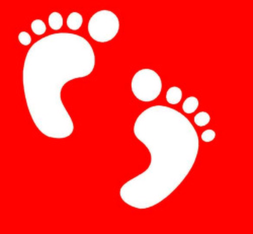Garra Rufa fish spa's located throughout the Furness area. These little fish will leave your feet silky smooth.