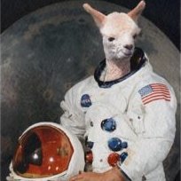 Una pequeña alpaca en el espacio 🦙🚀