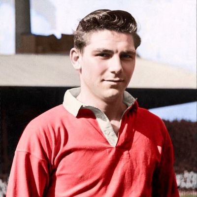 RED ANGELS born Red I follow all reds back NO DMs