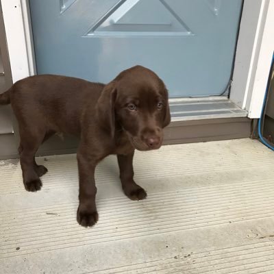 g145harrison's profile picture. 