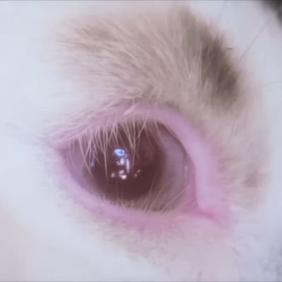 Shanteiさんのプロフィール画像