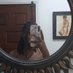 Deya (@andreia_bsm) Twitter profile photo Deya (@andreia_bsm) Twitter profile photo