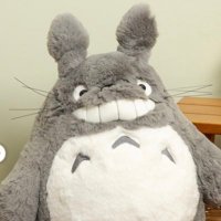 みぃ (@maa_diary8) 's Twitter Profile