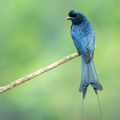 Robert38631329's profile picture. 