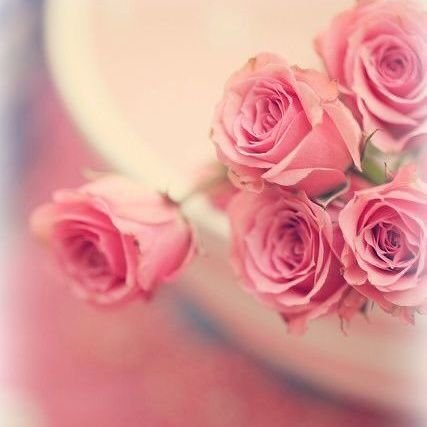 drkholodii22's profile picture. منتجات السعادة الزوجية 
السعودية - الامارات - البحرين - قطر - الكويت - الاردن - العراق 
وجميع الدول الاوربية