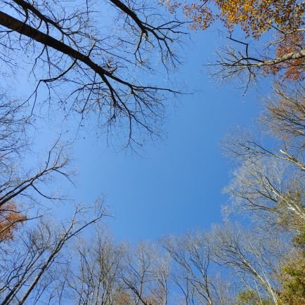 AdrithStandrid2's profile picture. 