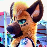 Heretic โก๏ธ FWA (@hereticsjunk) 's Twitter Profile Photo Heretic โก๏ธ FWA (@hereticsjunk) 's Twitter Profile Photo