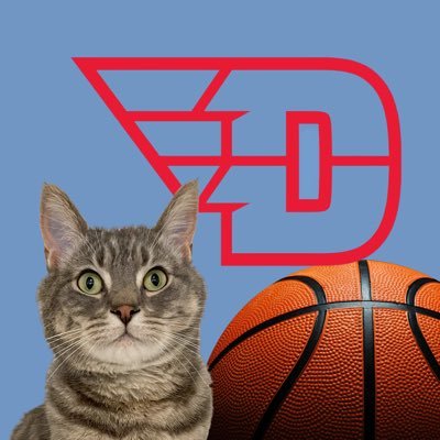 The whole point of this Twitter account is to follow UD Basketball and Cat Photos.                                                   🎓@univofdayton 🎓@siswsu