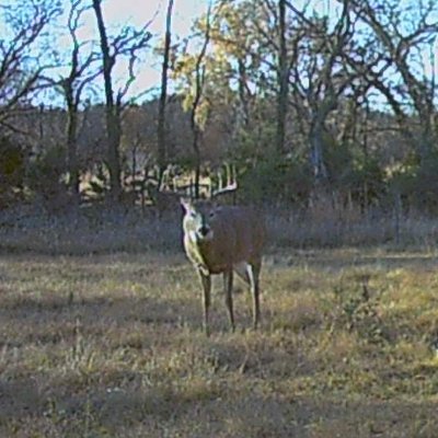 KDHunter6's profile picture. Love the outdoors