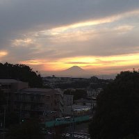 ふゆ (@fuyu__taiko) 's Twitter Profile Photo