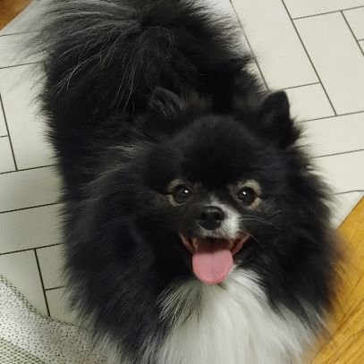 sch_ls_sch's profile picture. 이 계정은 이제 쓰지 않습니다! 메인트 참고해주세요