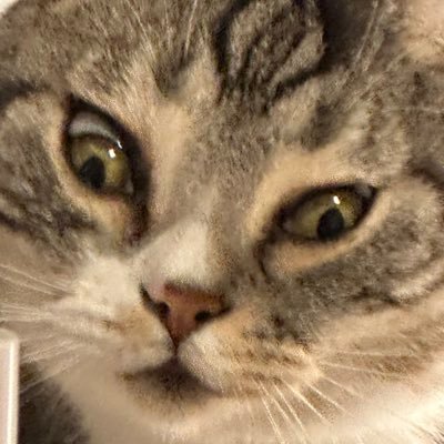 Ninjaf0321's profile picture. 