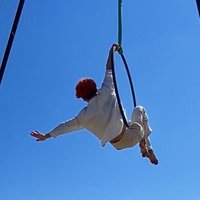 かねき まこと🍓💫 (@makocircus) 's Twitter Profile