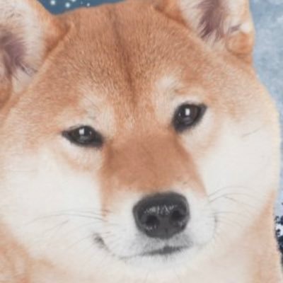 DogeSpeak's profile picture. 📣🐕  Executive Orders! DOGE