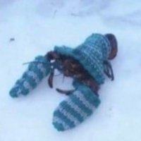 smut (@cooldudedragon) 's Twitter Profile Photo smut (@cooldudedragon) 's Twitter Profile Photo