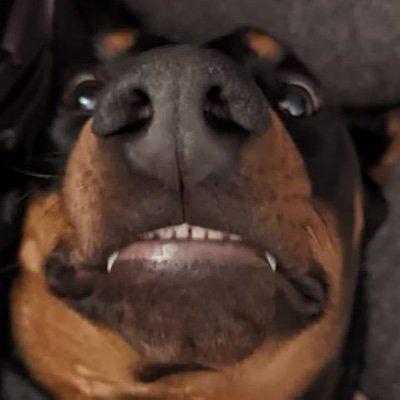 boiker's profile picture. Weather. Photography. Baseball. Hockey, Urban Planning.  City Planner working to create and maintain great communities.