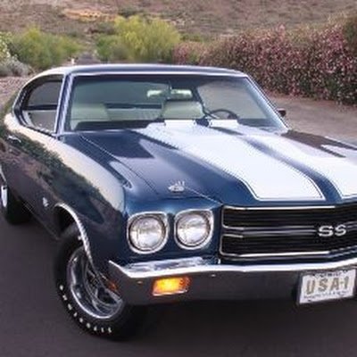 bucsfreek77's profile picture. 