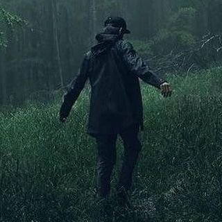 Josh62372610's profile picture. 