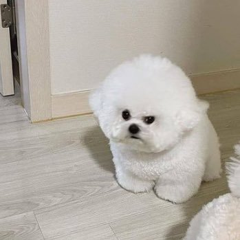 jo_lie24's profile picture. しがない看護師の記録用Twitter🕊済：脂肪吸引(太腿)、埋没2回、目の下脂肪再配置、目尻切開、下眼瞼下制、非切開クマ取り※しばらく整形はお休み※