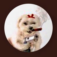 uniquedeehan1 (@uniquedeehan1) 's Twitter Profile Photo uniquedeehan1 (@uniquedeehan1) 's Twitter Profile Photo