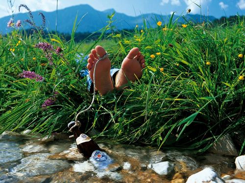 StephenGloben's profile picture. Actor/Director