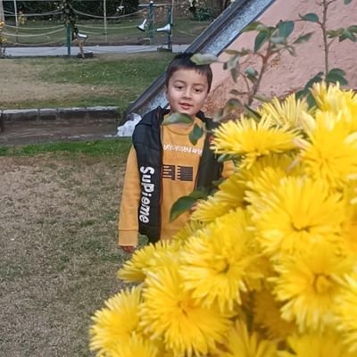 ashaq_ashraf's profile picture. Assistant Professor Computer Applications
Higher Education Department Jammu & Kashmir