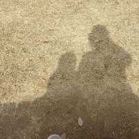 chie@amn-iLYs-なにふぁむ (@poywifhck0rmtpo) 's Twitter Profile