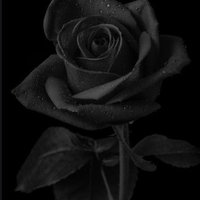 Hiraeth PhD 🏴󠁧󠁢󠁷󠁬󠁳󠁿 💙 (@hiraethx) 's Twitter Profile Photo