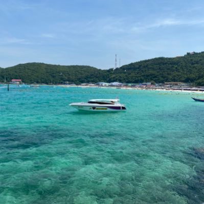 aka_of_syumi's profile picture. 