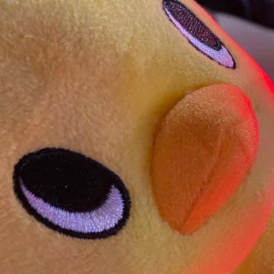 pomtraco's profile picture. 