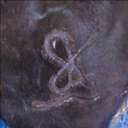 Jeremy Albert - @kirklandjeremy - Twitter