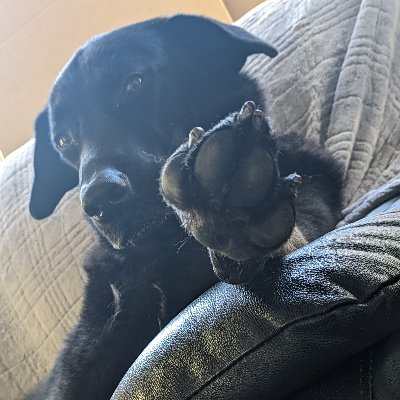 Socheata_L's profile picture. 