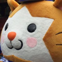 じゃり 2勝0敗1分 (@jari_1204) Twitter profile photo
